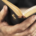 Does the Bible App Have a Chronological Bible?